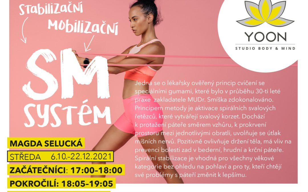 Kurz SM – Systému