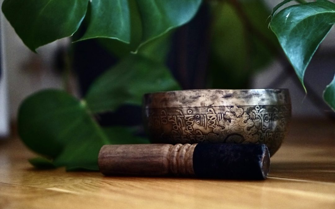 SPECIÁLNÍ PERMANENTKA PO DOBU UZAVÍRKY